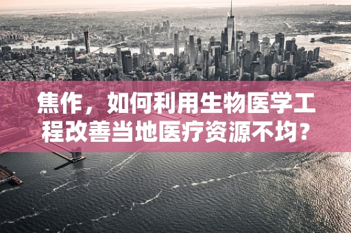 焦作，如何利用生物医学工程改善当地医疗资源不均？