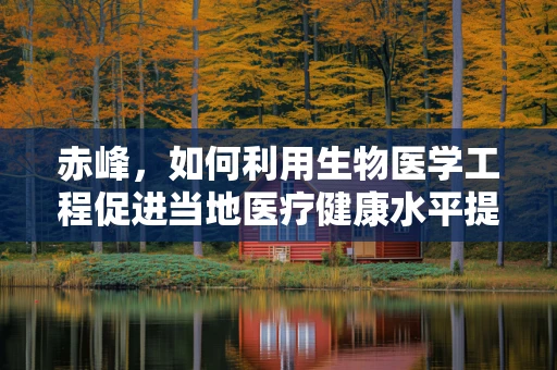 赤峰，如何利用生物医学工程促进当地医疗健康水平提升？