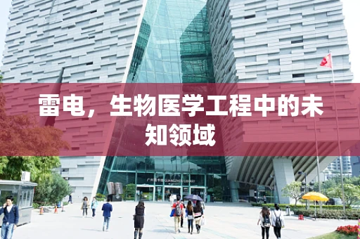 雷电，生物医学工程中的未知领域