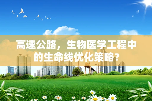 高速公路，生物医学工程中的生命线优化策略？