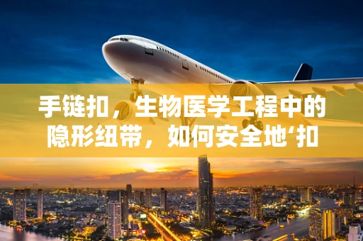 手链扣，生物医学工程中的隐形纽带，如何安全地‘扣’住健康？