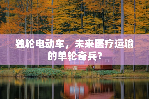 独轮电动车，未来医疗运输的单轮奇兵？