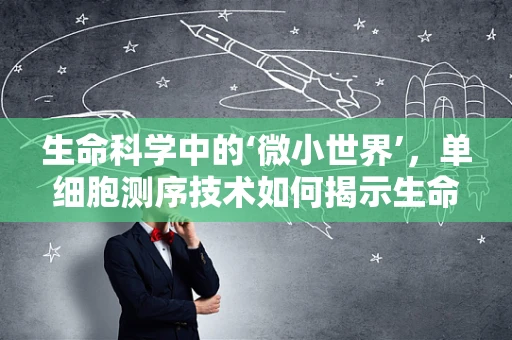 生命科学中的‘微小世界’，单细胞测序技术如何揭示生命奥秘？