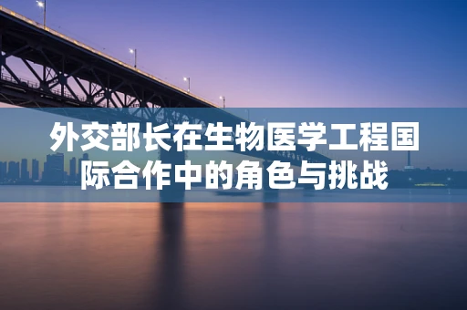 外交部长在生物医学工程国际合作中的角色与挑战