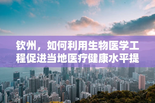 钦州，如何利用生物医学工程促进当地医疗健康水平提升？
