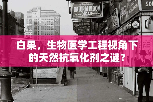 白果，生物医学工程视角下的天然抗氧化剂之谜？