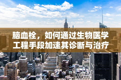 脑血栓，如何通过生物医学工程手段加速其诊断与治疗？