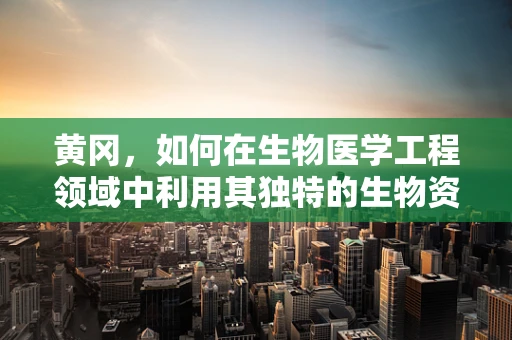黄冈，如何在生物医学工程领域中利用其独特的生物资源优势？
