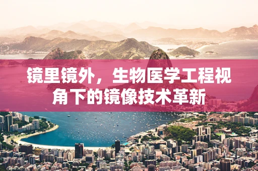 镜里镜外，生物医学工程视角下的镜像技术革新