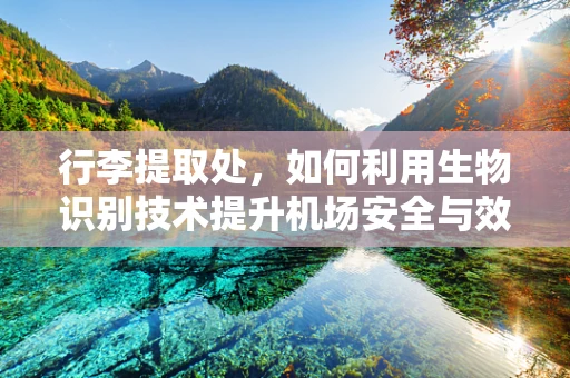 行李提取处，如何利用生物识别技术提升机场安全与效率？