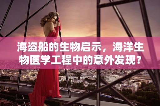 海盗船的生物启示，海洋生物医学工程中的意外发现？