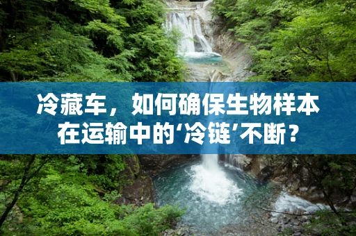 冷藏车，如何确保生物样本在运输中的‘冷链’不断？