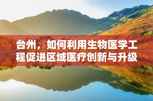 台州，如何利用生物医学工程促进区域医疗创新与升级？