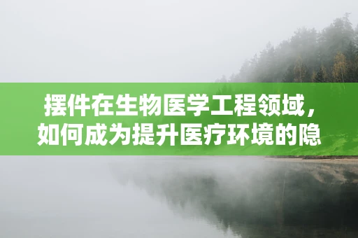 摆件在生物医学工程领域，如何成为提升医疗环境的隐形助手？