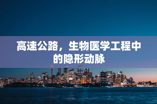 高速公路，生物医学工程中的隐形动脉