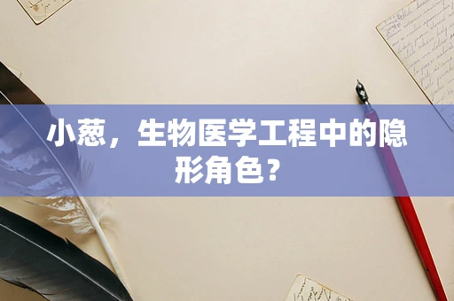 小葱，生物医学工程中的隐形角色？