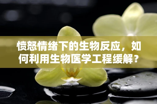 愤怒情绪下的生物反应，如何利用生物医学工程缓解？