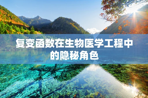 复变函数在生物医学工程中的隐秘角色