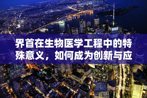 界首在生物医学工程中的特殊意义，如何成为创新与应用的交汇点？