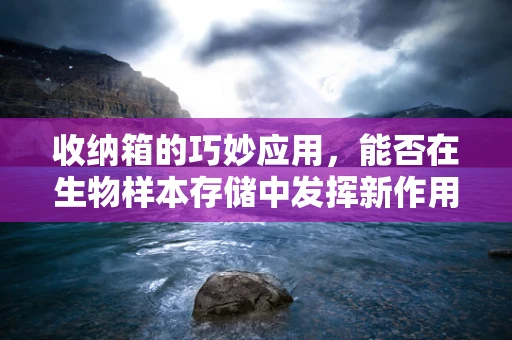 收纳箱的巧妙应用，能否在生物样本存储中发挥新作用？