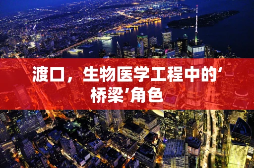 渡口，生物医学工程中的‘桥梁’角色