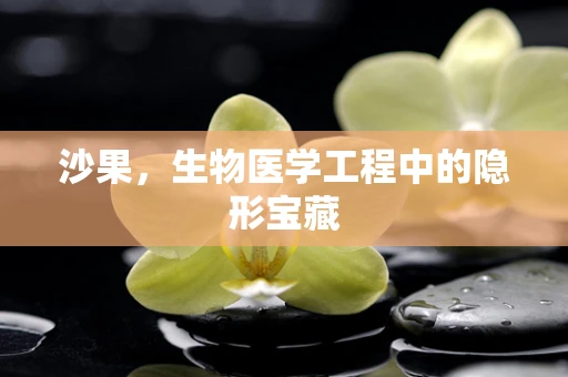 沙果，生物医学工程中的隐形宝藏
