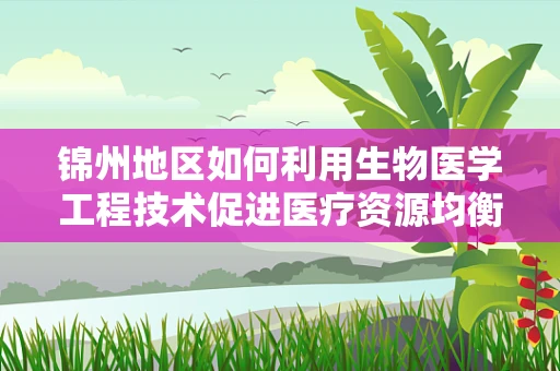 锦州地区如何利用生物医学工程技术促进医疗资源均衡发展？