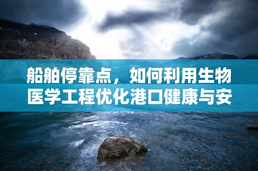 船舶停靠点，如何利用生物医学工程优化港口健康与安全？