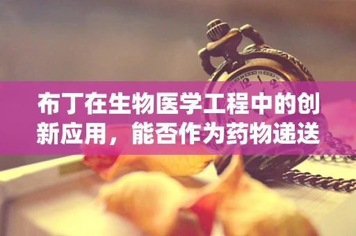 布丁在生物医学工程中的创新应用，能否作为药物递送系统的载体？