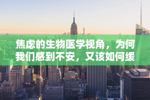 焦虑的生物医学视角，为何我们感到不安，又该如何缓解？