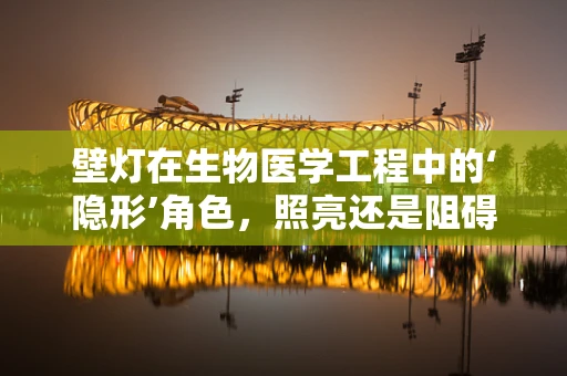 壁灯在生物医学工程中的‘隐形’角色，照亮还是阻碍？
