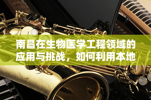 南昌在生物医学工程领域的应用与挑战，如何利用本地资源推动创新？