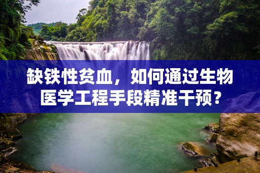 缺铁性贫血，如何通过生物医学工程手段精准干预？
