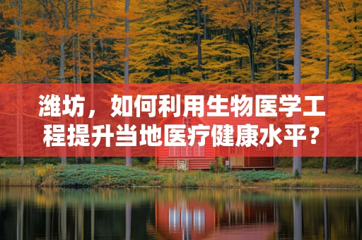 潍坊，如何利用生物医学工程提升当地医疗健康水平？