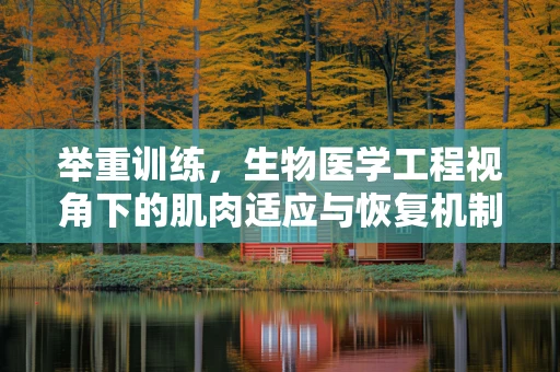举重训练，生物医学工程视角下的肌肉适应与恢复机制