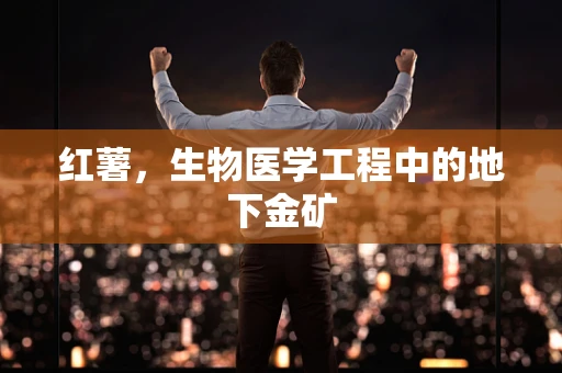 红薯，生物医学工程中的地下金矿