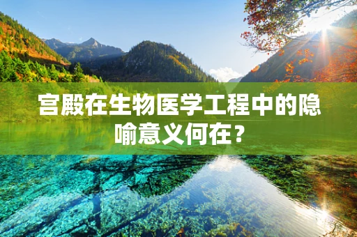 宫殿在生物医学工程中的隐喻意义何在？