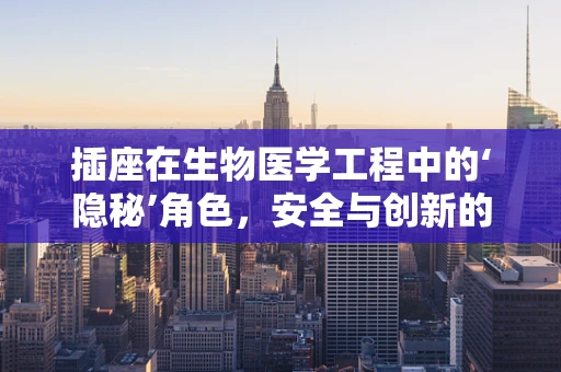插座在生物医学工程中的‘隐秘’角色，安全与创新的双重考量