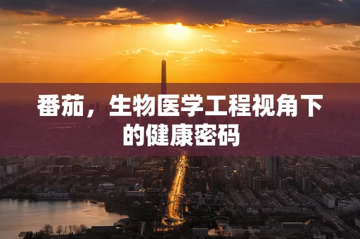 番茄，生物医学工程视角下的健康密码