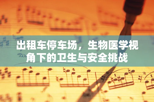 出租车停车场，生物医学视角下的卫生与安全挑战