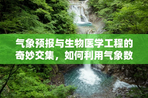 气象预报与生物医学工程的奇妙交集，如何利用气象数据优化医疗设施运行？