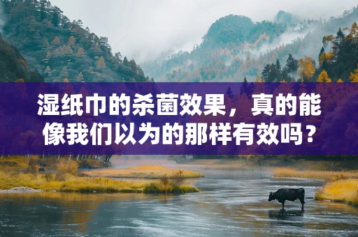 湿纸巾的杀菌效果，真的能像我们以为的那样有效吗？
