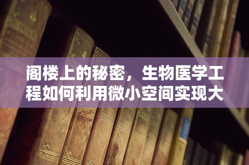 阁楼上的秘密，生物医学工程如何利用微小空间实现大创新？
