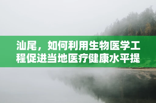 汕尾，如何利用生物医学工程促进当地医疗健康水平提升？
