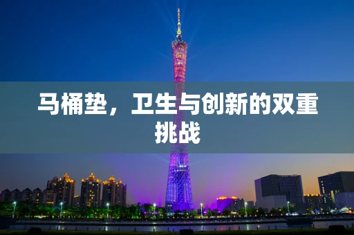 马桶垫，卫生与创新的双重挑战