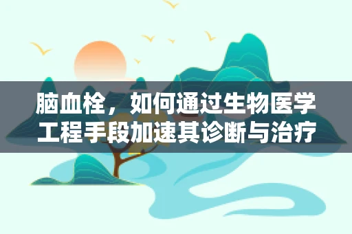 脑血栓，如何通过生物医学工程手段加速其诊断与治疗？