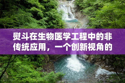 熨斗在生物医学工程中的非传统应用，一个创新视角的探索