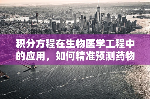 积分方程在生物医学工程中的应用，如何精准预测药物分布？