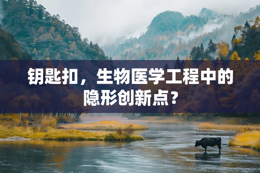 钥匙扣，生物医学工程中的隐形创新点？