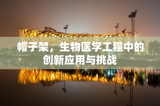 帽子架，生物医学工程中的创新应用与挑战